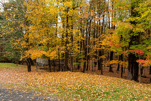mikiodo201013_4944_LR