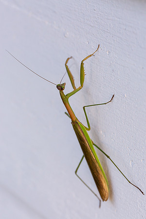 mikiodo200923_8811_LR