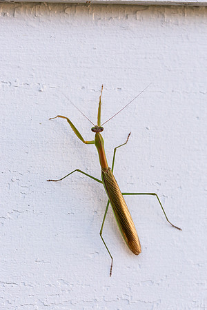 mikiodo200923_8810_LR