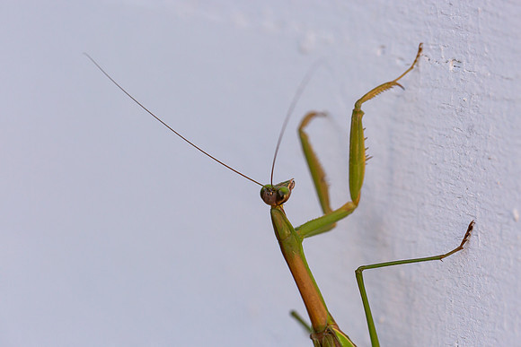 mikiodo200923_8812_LR