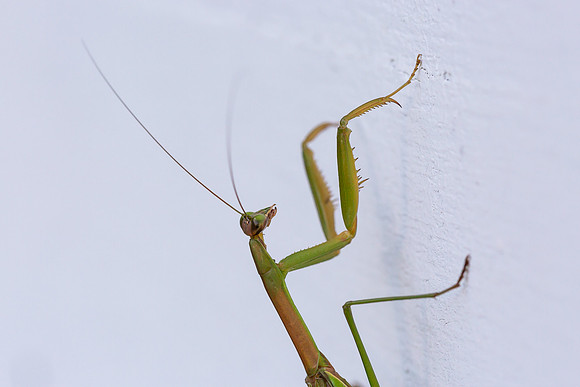mikiodo200923_8813_LR