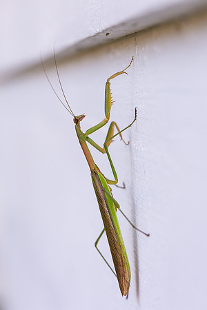 mikiodo200923_8818_LR