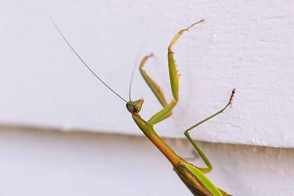 mikiodo200923_8820_LR