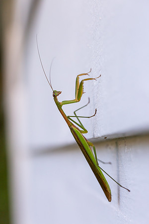 mikiodo200923_8826_LR