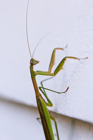 mikiodo200923_8827_LR