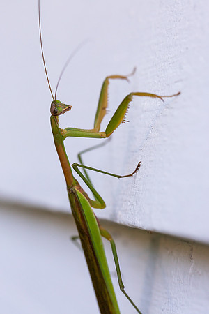 mikiodo200923_8828_LR