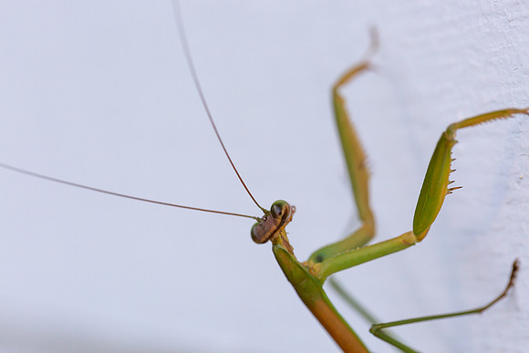 mikiodo200923_8830_LR