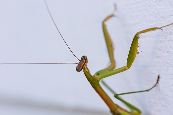 mikiodo200923_8831_LR