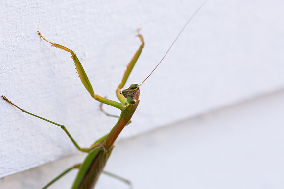 mikiodo200923_8832_LR