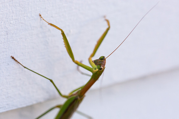 mikiodo200923_8834_LR