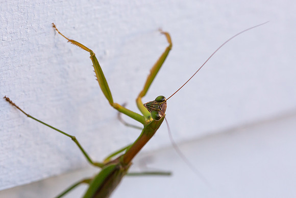 mikiodo200923_8836_LR