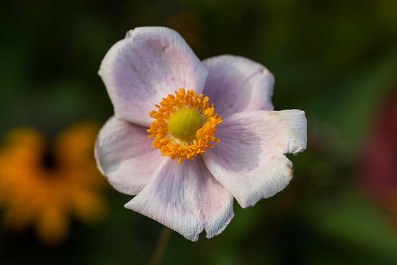 mikiodo200923_8841_LR