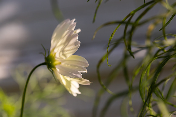 mikiodo200923_8849_LR