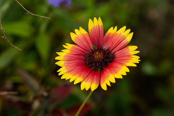mikiodo200923_8850_LR