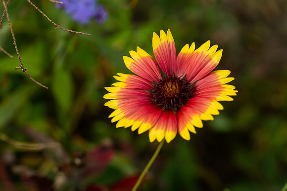 mikiodo200923_8852_LR