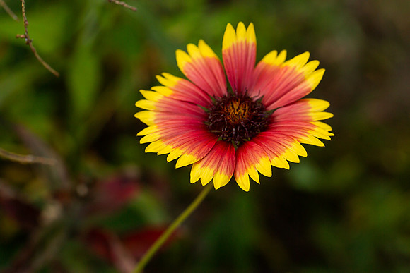 mikiodo200923_8851_LR