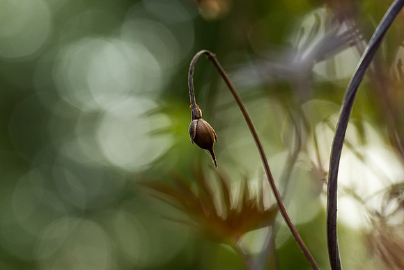 mikiodo200923_8864_LR