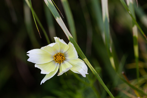 mikiodo200923_8869_LR