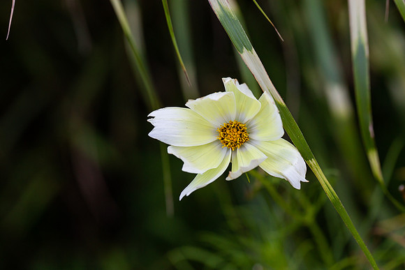 mikiodo200923_8870_LR