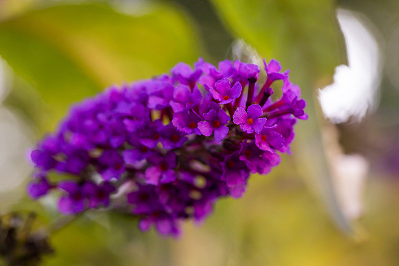mikiodo200923_8871_LR