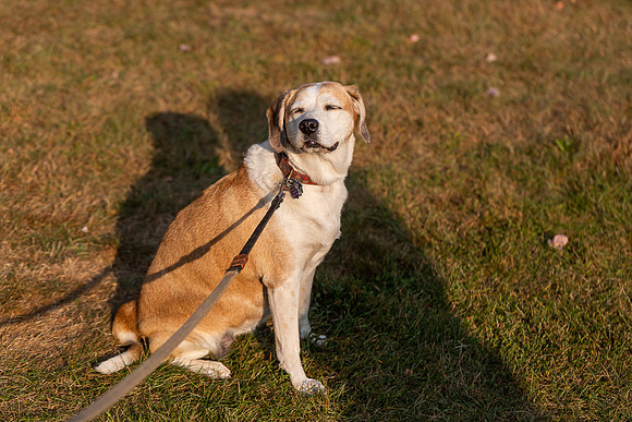 mikiodo200923_8895_LR