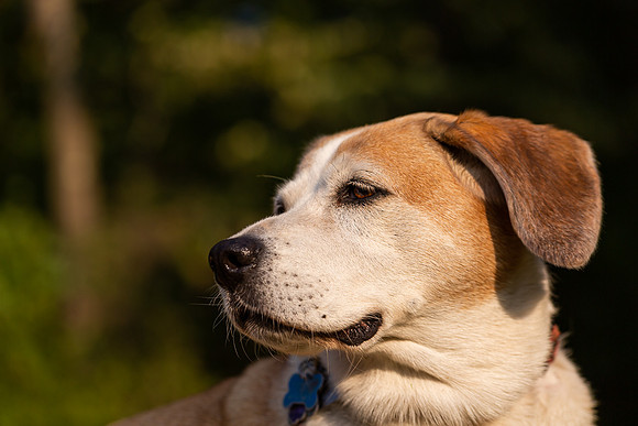 mikiodo200923_8898_LR
