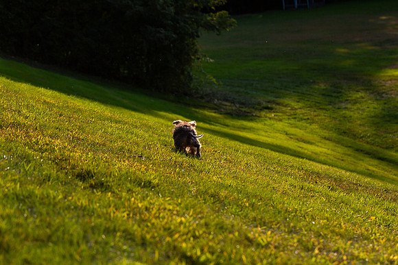 mikiodo200923_8912_LR