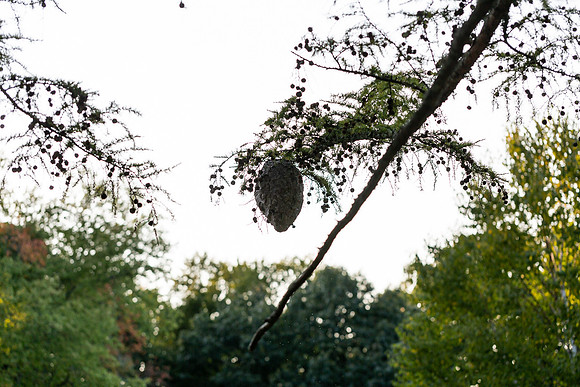 mikiodo200923_8926_LR