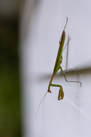 mikiodo200923_8931_LR