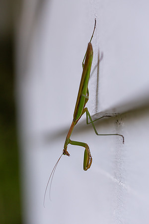 mikiodo200923_8938_LR