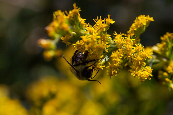 mikiodo200923_8960_LR