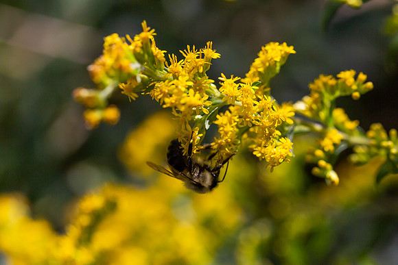 mikiodo200923_8962_LR