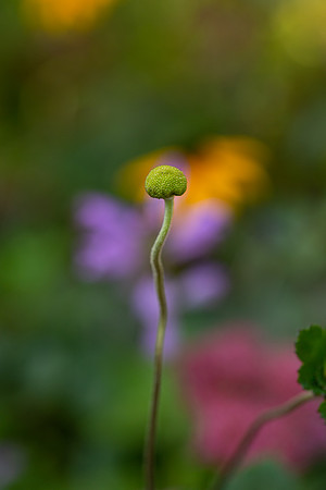 mikiodo200923_8993_LR