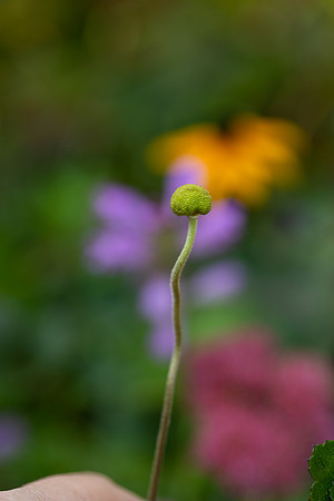 mikiodo200923_8994_LR