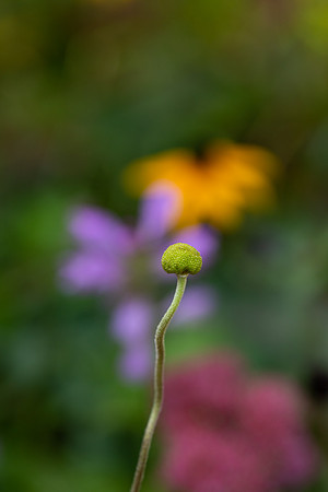 mikiodo200923_8995_LR