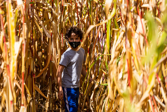 mikiodo200923_9009_LR