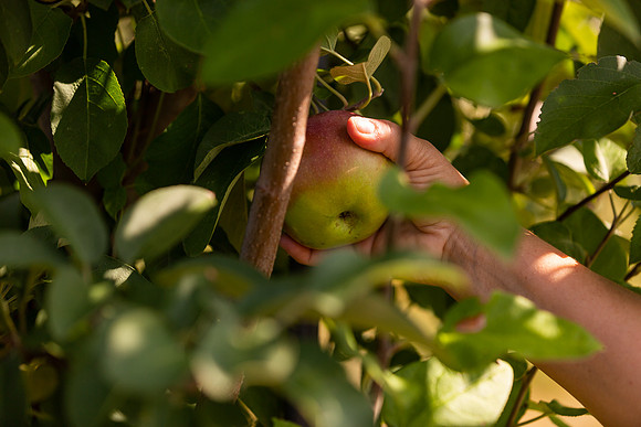 mikiodo200923_9035_LR