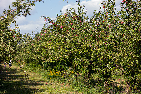 mikiodo200923_9065_LR
