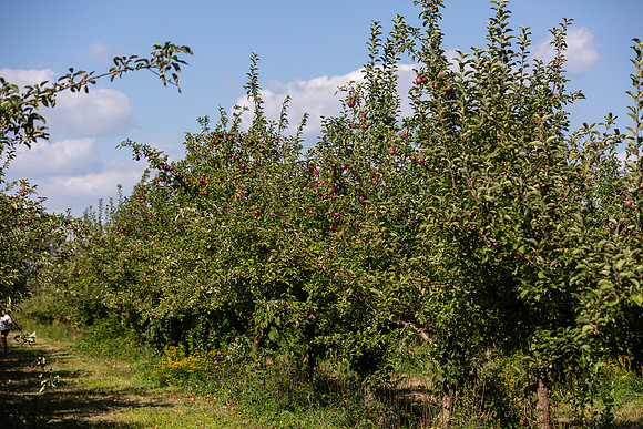 mikiodo200923_9066_LR
