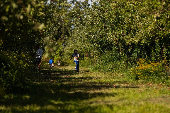 mikiodo200923_9073_LR
