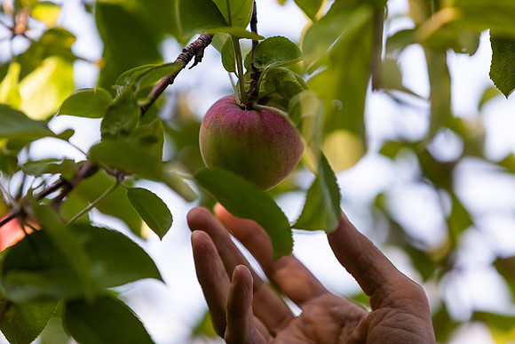 mikiodo200923_9093_LR