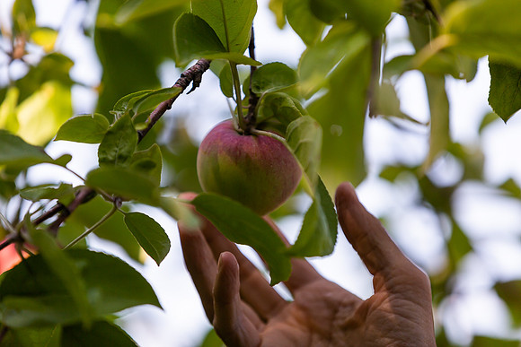 mikiodo200923_9094_LR