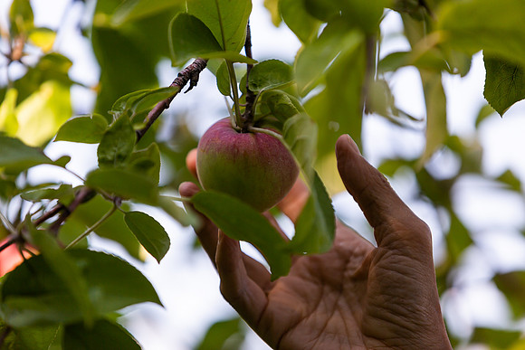 mikiodo200923_9095_LR