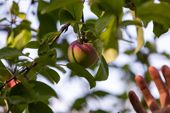 mikiodo200923_9100_LR