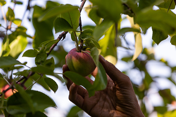 mikiodo200923_9105_LR