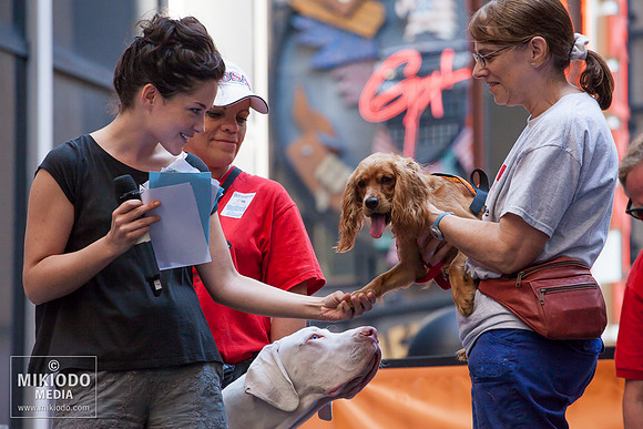 Broadway Barks 2014