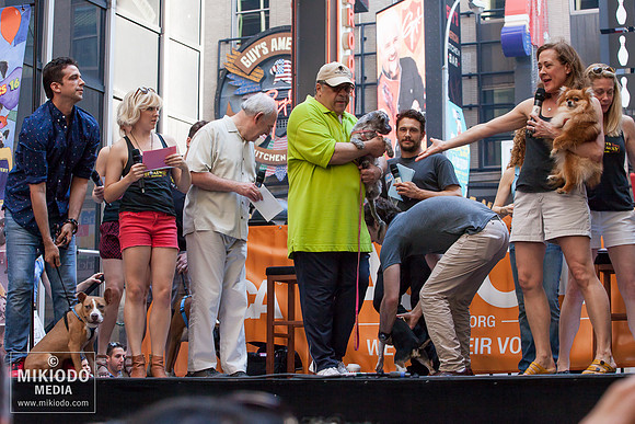 Broadway Barks 2014
