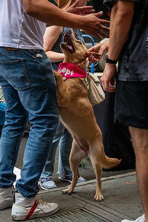 mikiodo240803_8757_LR