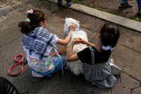 mikiodo250515_1729_LR