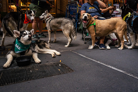 mikiodo240803_05181_LR
